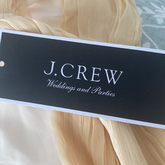 Champagne Colored J.Crew Chiffon Cara Dress Size 12 NWT - Picture 9 of 9